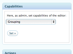 Editor capabilites setting box