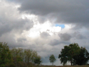 Sky and tree