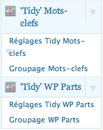 xili-tidy-tags menus on dashboard